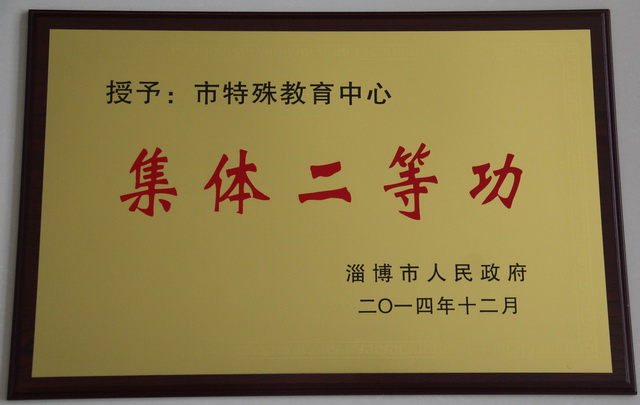 2015學(xué)校集體榮譽(yù)